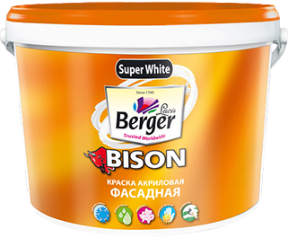 Bison